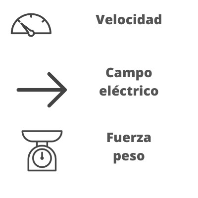 Magnitudes vectoriales