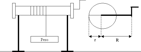 referencia Célula somatica el fin Torno - FisicaPractica.Com